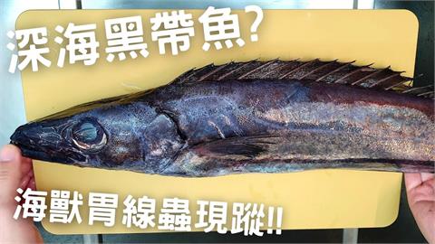 外觀宛如深海猛獸！罕見黑帶魚如何烹煮？魚料達人1魚3吃做成珍饌