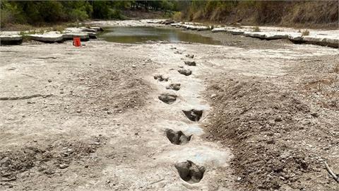 美國德州河床乾涸！1.13億年前「恐龍足跡」意外重見天日