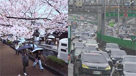 30歲後清明連假怎麼過？網狂推「成人行程」不出門也不用人擠人！