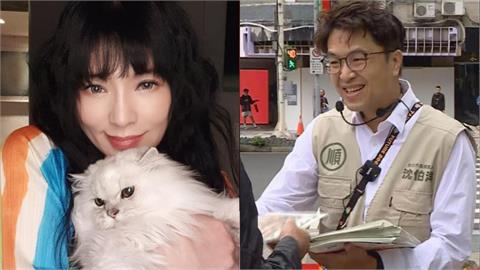 唐綺陽才喊「想被沈伯洋算塔羅」！他突襲拋1超狂點子　網嗨翻：隔空回應嗎