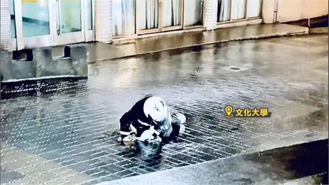 共伴效應雨彈續炸陽明山 文大刮10級風學生寸步難行