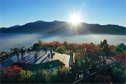 歡慶阿里山日出印象音樂會23周年 12月21、22日送出阿里山精品咖啡與茶
