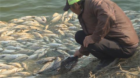 負北極震盪冷到過年！　農家抗「凍」作戰大出招