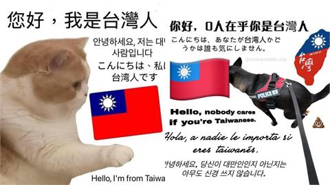 「您好，我台灣人」迷因圖太多！疑引「外國人反感」台網友嘆：存在感刷過頭