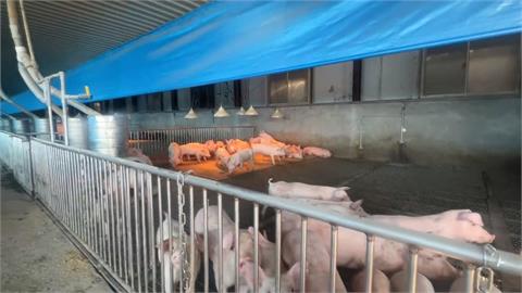 替動物裝設瓦斯燈具保暖　　2天用掉8至10桶瓦斯
