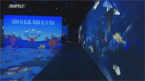 一同倘佯3D海底世界　墨西哥虛擬水族館盛大開幕