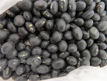 中國黑豆、青蔥農藥超標違規　共4萬1500公斤全被退運、銷毀