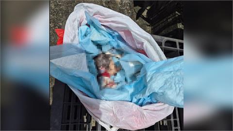 最新／慎入！台南崑山市場驚見「死嬰」躺保麗龍盒　警方急追移工送辦