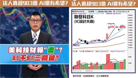 AI隱憂?三大法人賣超台股903億元   Google加碼後市　專家這樣看
