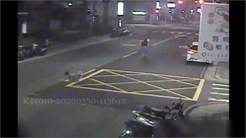 男子黃湯下肚路中隨機攔車！　忠犬「怕主人出事」沿路緊跟