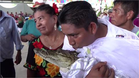 家有「鱷」妻！墨西哥鎮長迎娶鱷魚　放閃親親秀恩愛