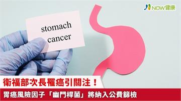 衛福部次長罹癌引關注！ 胃癌風險因子「幽門桿菌」將納入公費篩檢