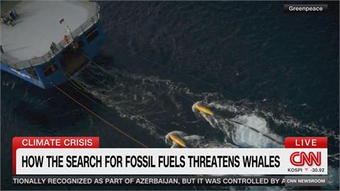 澳洲深海油氣探勘計畫　巨大聲波恐危害鯨魚聽力