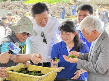 致力海洋永續　新北市府攜手產官學放流海洋生物