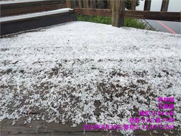 快新聞／合歡山東峰步道午後下冰雹　遊客驚呼：另類「雪景」