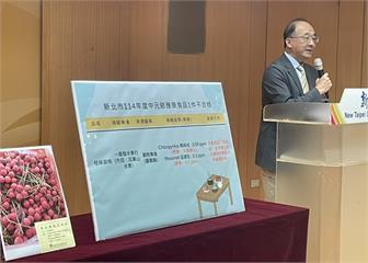 普渡祭品出問題　新北衛生局抽驗桂味荔枝農藥超標不合格