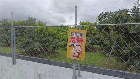 "電網"防猴害! 高雄市果園試辦曝防治效果近100%