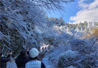 武陵農場下雪了！走進夢幻雪白世界「山林間彷彿撒上糖霜」