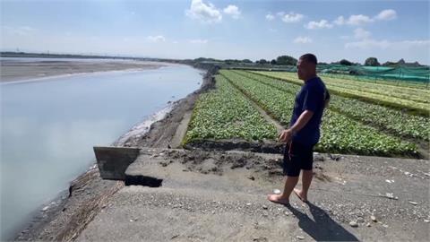 雲林「農地變水道」！　濁水溪高灘地菜園近2公頃塌陷