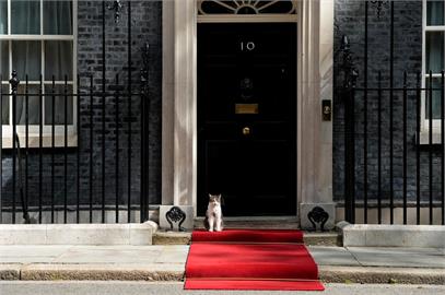 快新聞／傳德牧入主英相府！第一貓賴瑞將搬離　英網炸鍋：拜託哪都別去