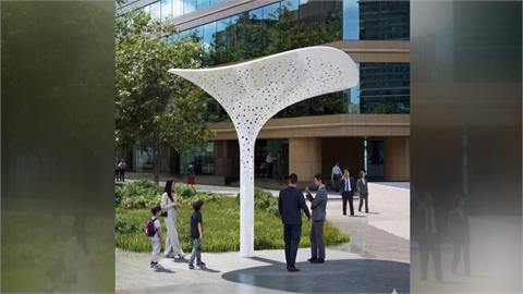 砍樹換"菇"? 蔣萬安稱為道路拓寬 洪婉臻秀公文打臉