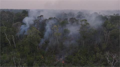 野火肆虐地球之肺　亞馬遜、印尼雨林徹夜狂燒