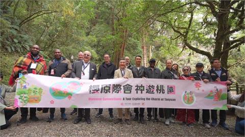 力拚城市外交！　桃園日邀駐台使節賞櫻花、看神木
