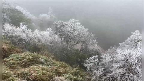 冷氣團急凍轉乾冷! 太平山"銀白世界"再現霧淞美景