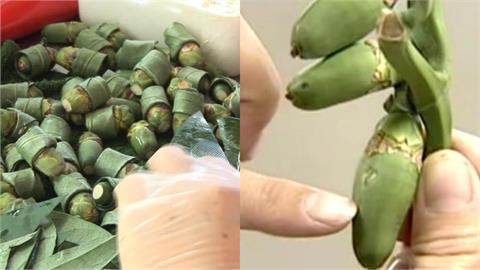 嘉義男吃檳榔「突當場倒地」無呼吸！竟是吃到「變異檳榔王」醫曝恐怖後果