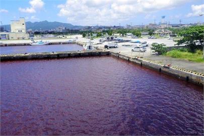 日本出現「一片血海」！竟是啤酒廠「一原因」造成沖繩海域嚴重污染
