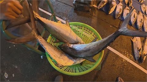 逛澎湖漁市爽買「白金魚」　達人揭驚人價差：價格砍半