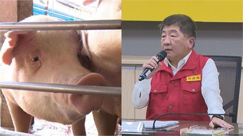 台中豬瘟防疫連環出包!陳時中曝「中央接手查真相」怒批:地方避重就輕