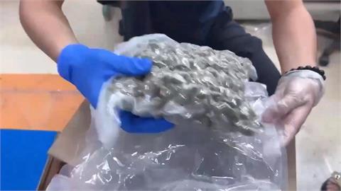 露營區淪毒品中繼站! 刑事局偵破"大麻國際郵包"逮4嫌