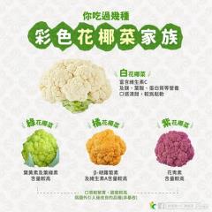 彩色花椰菜夯什麼？一次看懂營養與料理重點