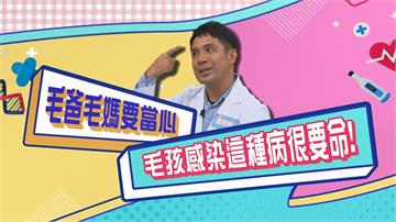 (影)／毛爸毛媽要當心 毛孩感染這病很要命？