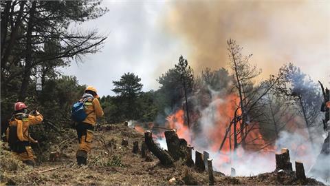 防止森林浩劫　國家公園禁止生明火燃放炮竹