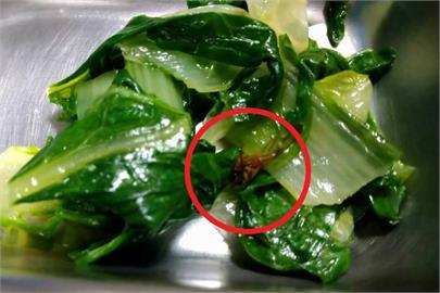 快新聞／基隆銘傳國中營養午餐出現「蟲蟲」　校方緊急換菜、學生未食用