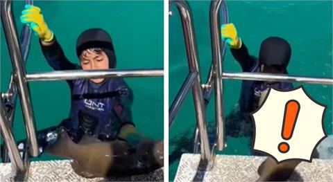 嚇死人！8歲男童浮潛完爬上船　鯊魚突竄出「狠咬胸口」過程全被拍