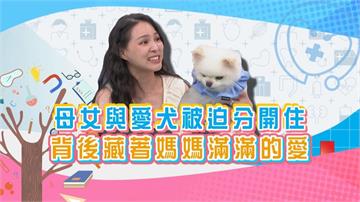 (影)／熊熊不捨把女兒與狗狗分開住 背後藏著媽媽滿滿的愛？