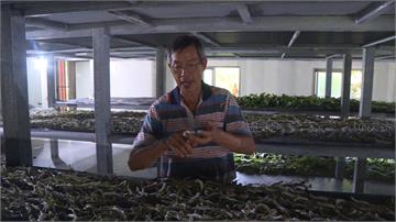 一頁式詐騙充斥！苗栗蠶絲達人遭冒名