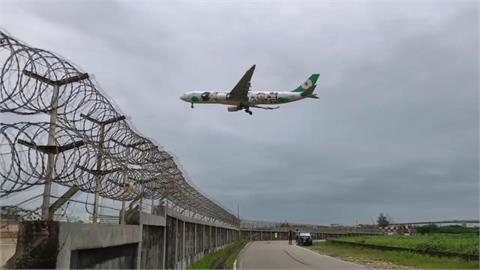 機場跑道「狗狗逛大街」恐影響飛安！桃機公司：即時驅離