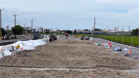 雲林「花生」什麼事？　花生收成　開放194處封路成曬場