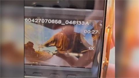 行車紀錄器曝光！女警遇死劫前先遭女大生追撞　家屬怒：沒一句道歉