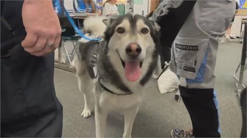 治療犬是童書主角　擬人化警犬心情陪伴孩童成長