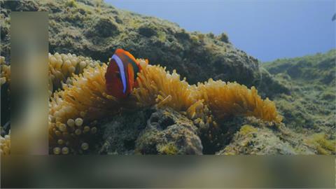 科技深度探索 帶領大眾「潛」進海