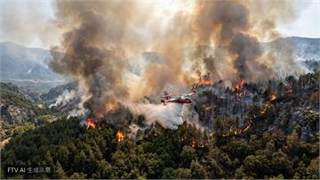 熱浪肆虐歐陸！西法兩國野火狂燒　歐盟增派飛機馳援