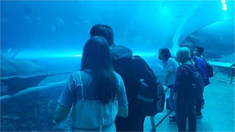 體驗夜宿海生館期待「與魚共眠」　民眾抱怨關燈一片漆黑看攏嘸！