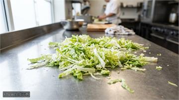 美生菜引發環孢子蟲病疫情　美國CDC再增4州受影響