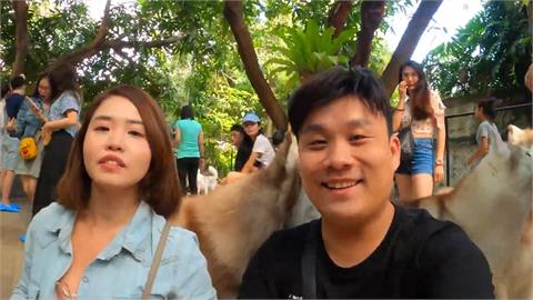 狗控必看！他遊曼谷寵物咖啡廳見「哈士奇瀑布」　毛小孩圍繞超幸福
