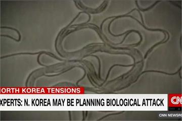 脫北士兵對炭疽免疫 北朝鮮正研發生物武器？